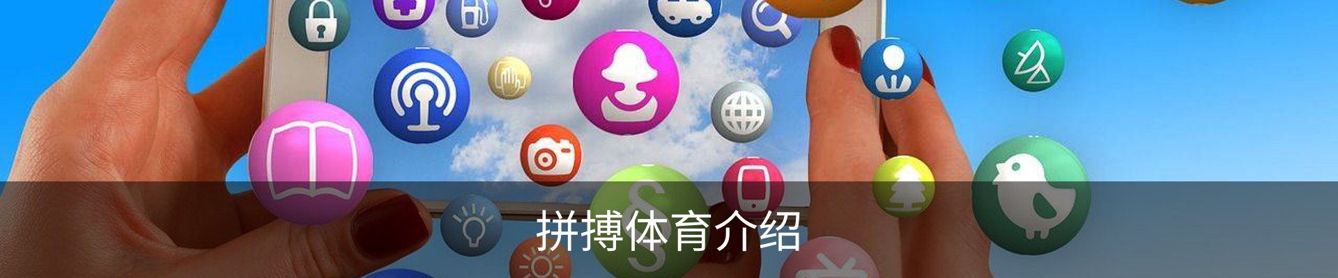 拼搏体育介绍